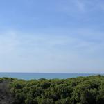 Bonita-Brilliant Project